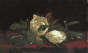 Martin Johnson Heade Magnolia Buds oil painting picture wholesale
